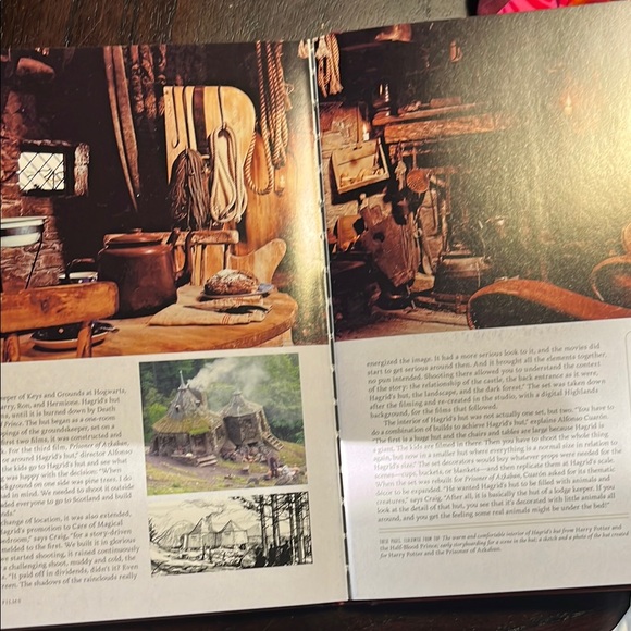 Harry Potter Magical Places Book - Red - Picture 3 of 4